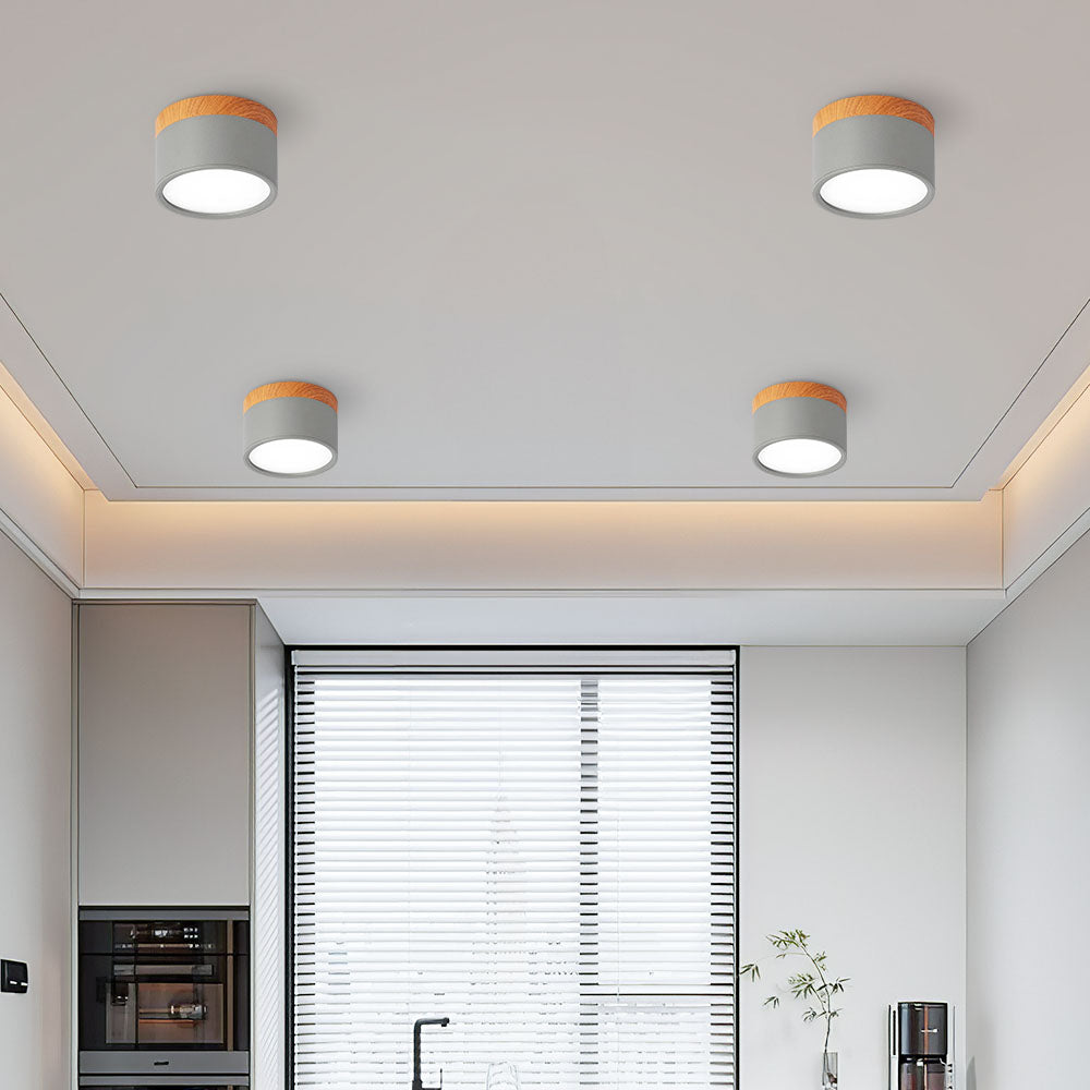 Cylinder Flush Ceiling Light | H2.36–2.75 in | Compact Modern LED Fixture| Sleek Aluminum | Brick by Brick