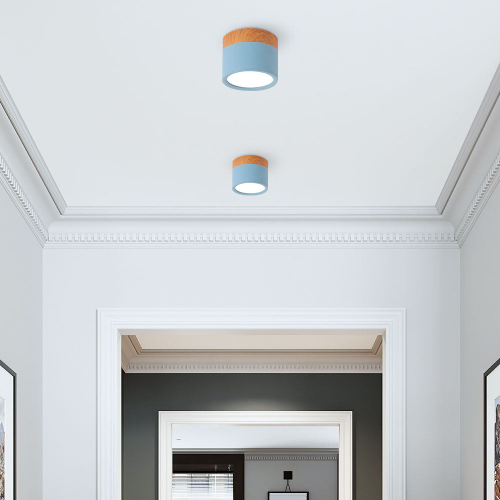 Cylinder Flush Ceiling Light | H2.36–2.75 in | Compact Modern LED Fixture| Sleek Aluminum | Brick by Brick