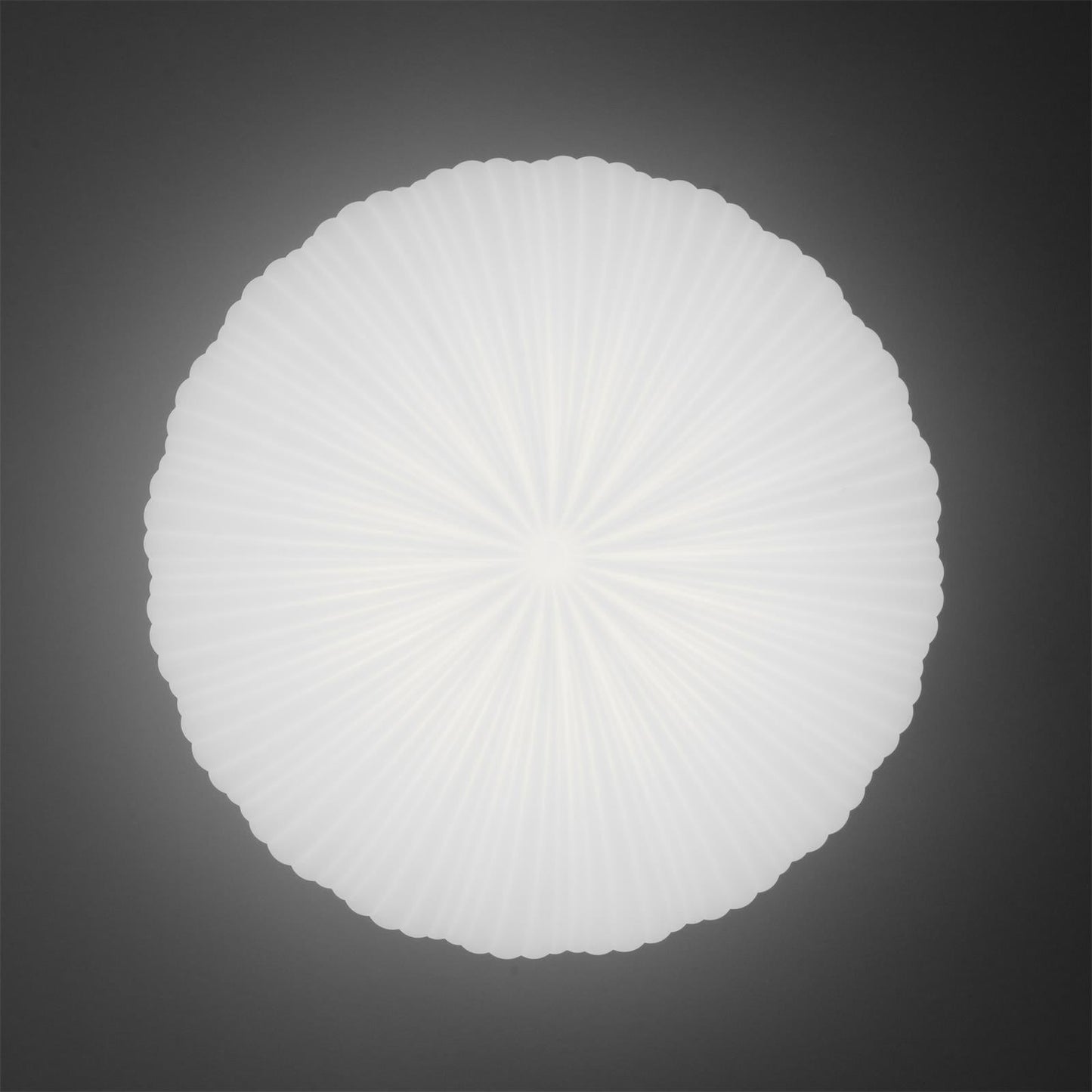 Robby Ceiling Lamp | 17.7" x 7" or 21.6" x 7.8" | Modern LED Design | Dimmable Options | Brick by Brick