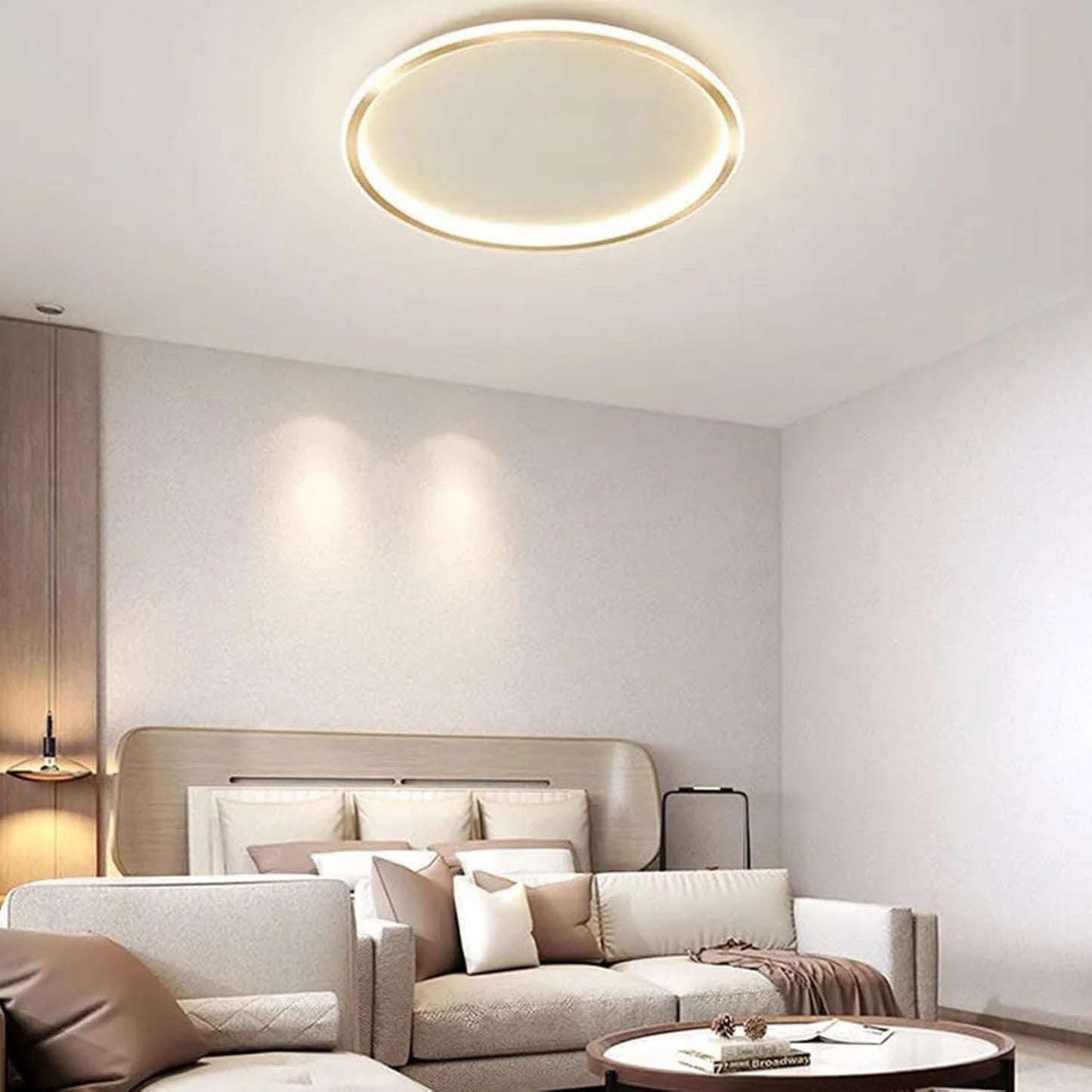 Modern Minimalist Disc Ceiling Light | Soft LED Glow | Contemporary Lighting | Elegant Interior Upgrade | Brick by Brick