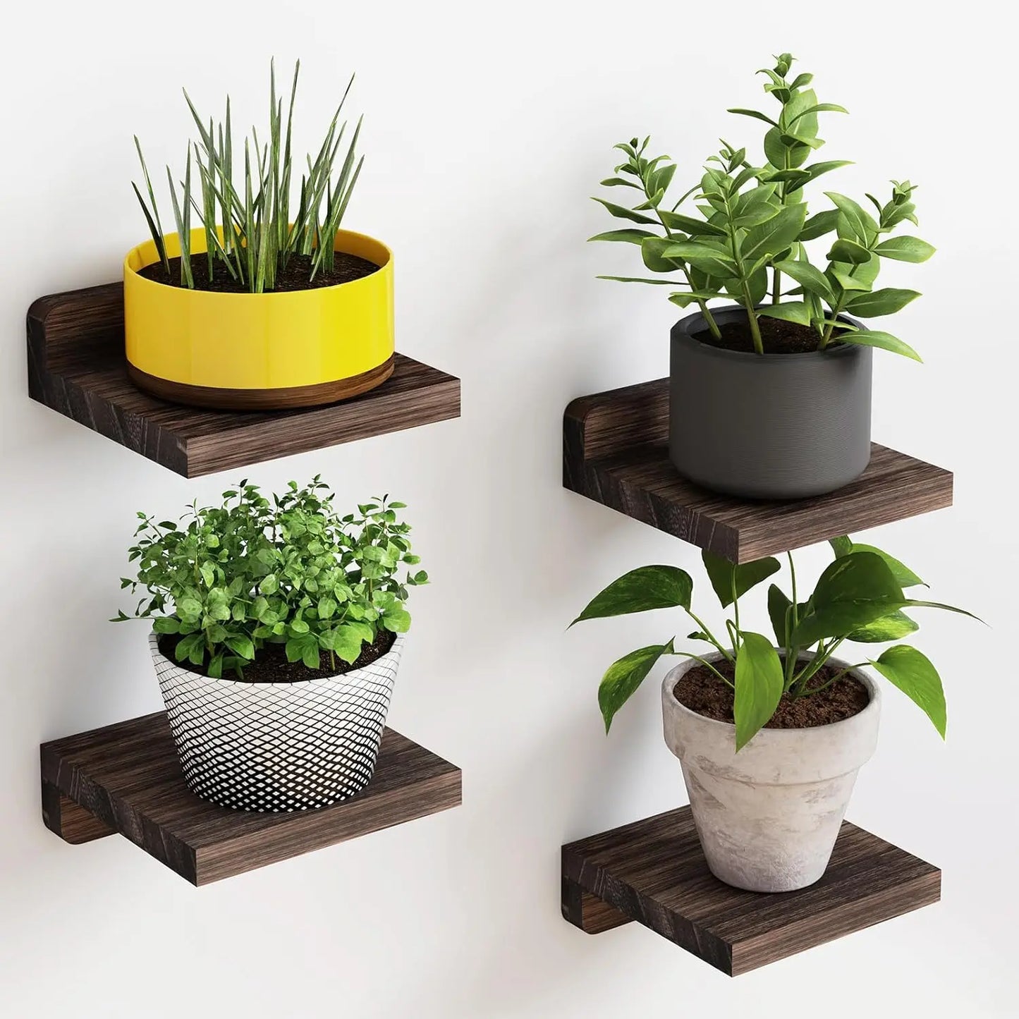 Mini Wooden Floating Shelves | 5 × 5 in | 4-Pack Wall Ledges | Rustic Home Display