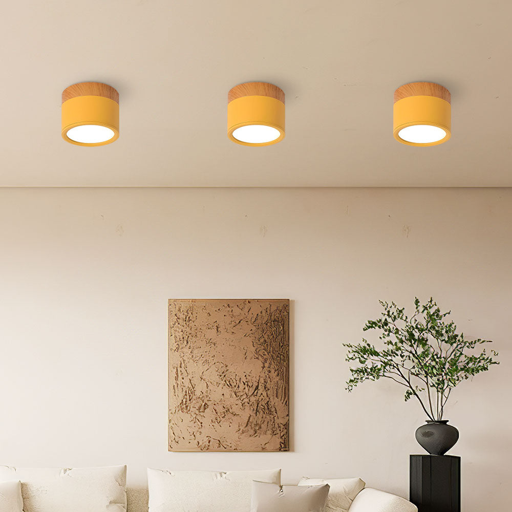 Cylinder Flush Ceiling Light | H2.36–2.75 in | Compact Modern LED Fixture| Sleek Aluminum | Brick by Brick