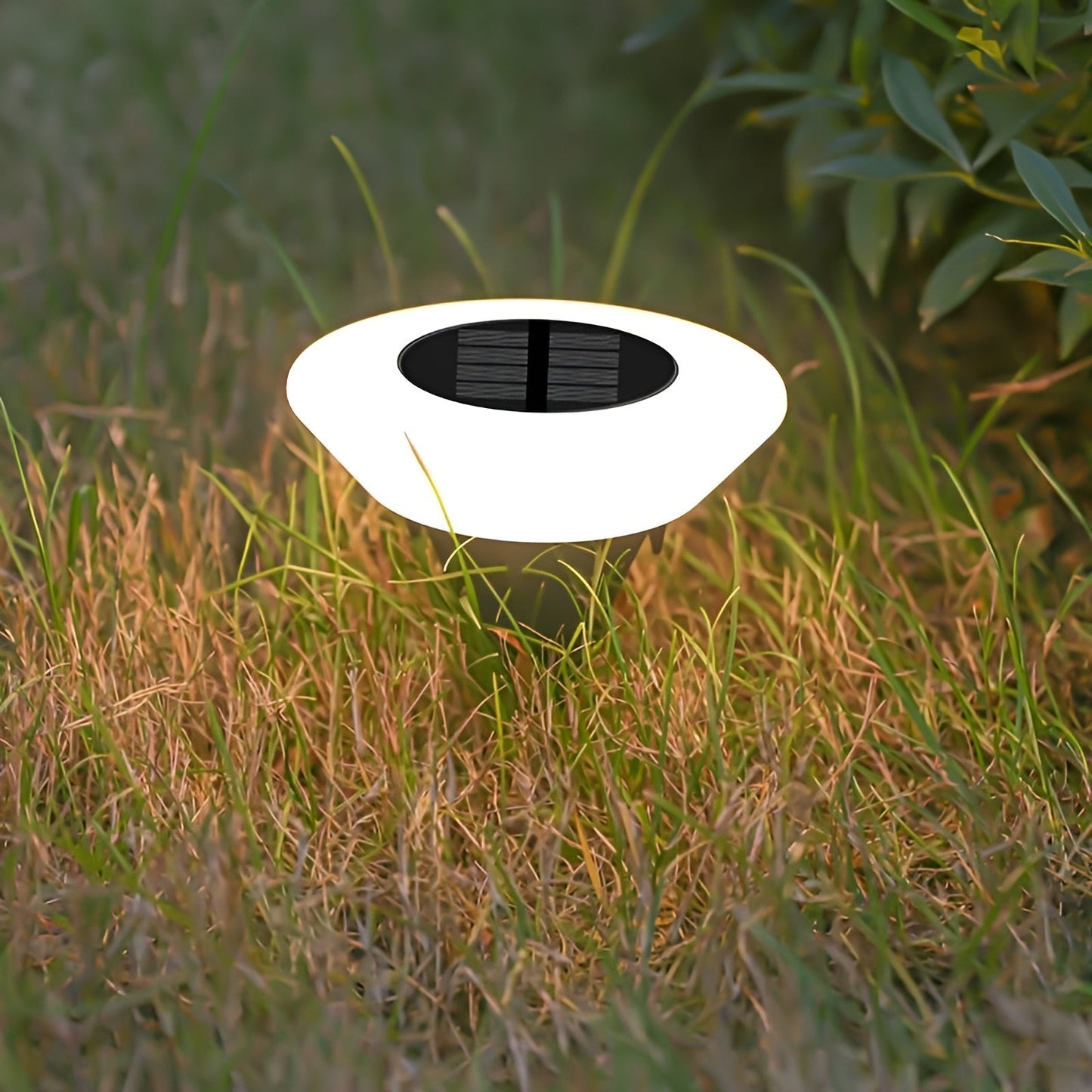 Modern Solar-Powered Outdoor LED Light | IP65 Waterproof | Wire-Free Garden Lighting